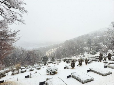 3월의 눈내리는 광릉추모공원 모습