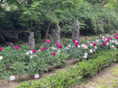 광릉추모공원의 꽃