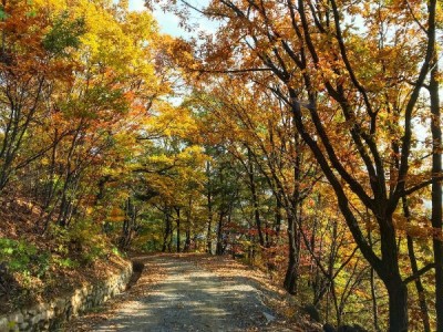 광릉추모공원 가을의 모습