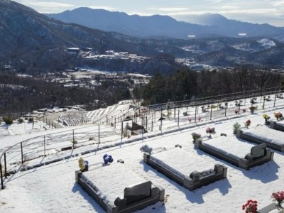 2024 광릉추모공원 겨울