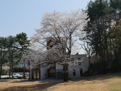 광릉추모공원 봄의 모습