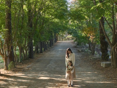 광릉추모공원 숲