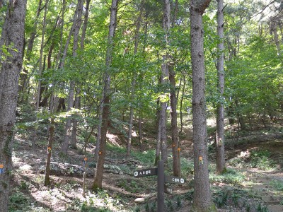 광릉추모공원 수목장