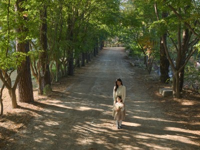 광릉추모공원 숲